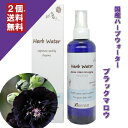 ブラックマロウ ウォーター 200ml （化粧水）成分分析表付 国産 ハーブウォーター フローラルウォーター アロマウォーター 化粧水 芳香蒸留水 スキンケア健草医学舎 KENSO ケンソー プラナロム