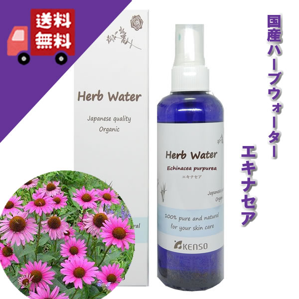 楽天自然のくらし【エキナセアウォーター 200ml】→ほのかなハーブ調の香り♪完全国産の本物のハーブウォーター【KENSO/ケンソー/健草医学舎】（ハーブウォーター/フローラルウォーター/化粧水）