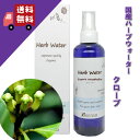 楽天自然のくらし【クローブウォーター 200ml】→ややオリエンタルでエキゾチックな香り？♪完全国産の本物のハーブウォーター【KENSO/ケンソー/健草医学舎】（ハーブウォーター/フローラルウォーター/化粧水）