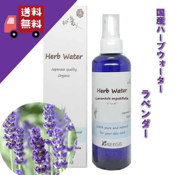 【国産ラベンダーウォーター 200ml】（楽天倉庫発送）→ラベンダーの清々しく包み込むような優しい香り♪（全てのお肌に）無農薬栽培、【KENSO/ケンソー/健草医学舎/プラナロム】（ハーブウォーター/フローラルウォーター/化粧水）