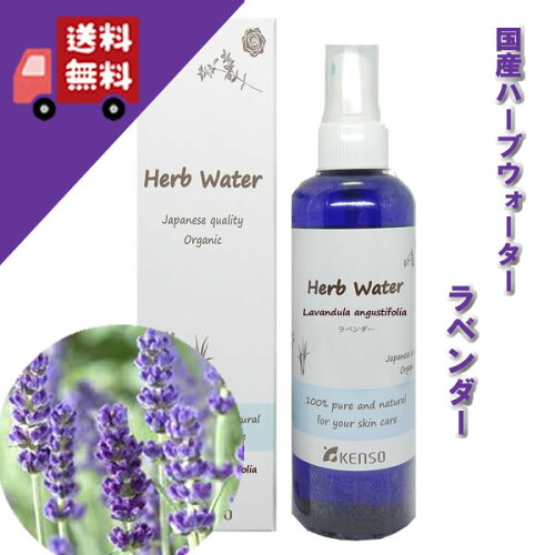 KENSO ケンソー 健草医学舎 プラナロム ラベンダーウォーター【入荷!...