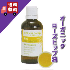 【ローズヒップ油（ローズヒップオイル） 50ml】→あらゆる肌におススメ（特に老化肌）♪【PRANAROM（プラナロム）】（キャリアオイル/植..