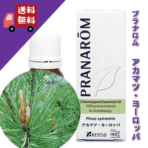 【アカマツヨーロッパ/ヨーロッパ赤松 10ml】→新鮮な森林の香り♪（森林浴系）100%ピュアの天然無農薬有機栽培オイル【PRANAROM（プラナロム）】（精油/アロマオイル/エッセンシャルオイル）