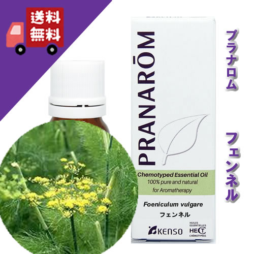 プラナロム フェンネル 10ml p-73 正規品セリ科 リラックスハーブ系 ウイキョウ 茴香 甘く爽やかで軽やかな香り（オーガニック 精油 アロマオイル ケモタイプ エッセンシャルオイル）【PRANAROM プラナロム 健草医学舎 ケンソー】