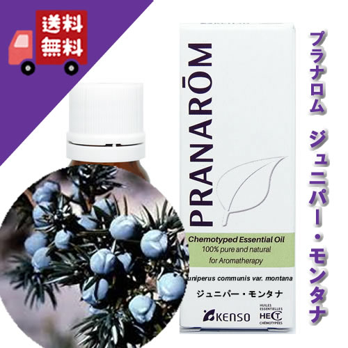 【使用期限:2025/12/31】【ジュニパー・モンタナ 10ml】→ジュニパーよりも爽やかでハッキリした香り♪(森林浴系)天然無農薬有機栽培オイル【PRANAROM(プラナロム)/NARD(ナードジャパン)】(精油/アロマオイル/エッセンシャルオイル)P-89 【使用期限:2025/12/31】【ジュニパー・モンタナ 10ml】→ジュニパーよりも爽やかでハッキリした香り♪(森林浴系)天然無農薬有機栽培オイル【PRANAROM(プラナロム)/NARD(ナードジャパン)】(精油/アロマオイル/エッセンシャルオイル)P-89