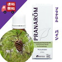 【パイン 10ml】→最も親しまれている、松の森林の香り♪（森林浴系）【PRANAROM（プラナロム）/NARD（ナードジャパン）】（精油/アロマオイル/エッセンシャルオイル）P-149