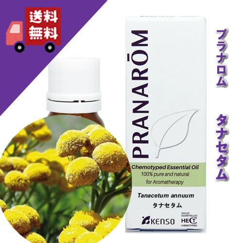 【タナセタム 5ml】→甘みのある、濃厚でフルーティな香り♪（リラックスハーブ系）天然無農薬有機栽培オイル【PRANAROM（プラナロム）/NARD（ナードジャパン）】（精油/アロマオイル/エッセンシャルオイル）P-173