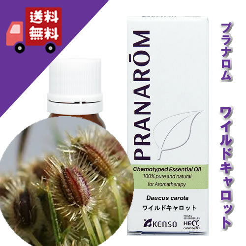 【ワイルドキャロット 10ml】→土の匂いと草の香りを併せ持ちます♪（リフレッシュハーブ系）100%ピュアの天然無農薬有機栽培オイル【PRANAROM（プラナロム）/NARD（ナードジャパン）】（精油/アロマオイル/エッセンシャルオイル）P-62