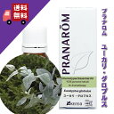 【ユーカリ・グロブルス 10ml】→頭をスッキリさせる、晴れ晴れとした清々しい香り♪(リフレッシュハーブ系)天然無農薬有機栽培オイル【PRANAROM(プラナロム)/ナードジャパン】(精油/アロマオイル/エッセンシャルオイル)P-67