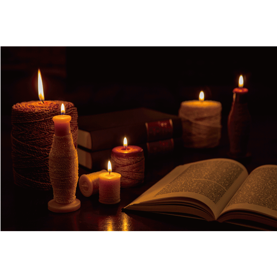 エステバン(ESTEBAN) インテリアガーデン ナチュール オレンジ＆グリーンティー フレグランスリフィル500ml