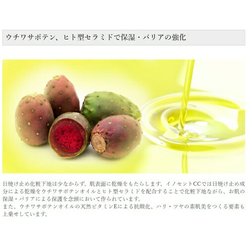 KATE(ケイト) ザ アイカラー PS401【プリズムクラッシュ】【アイシープリズム】【来世は猫になりたい】1個 (x 1)