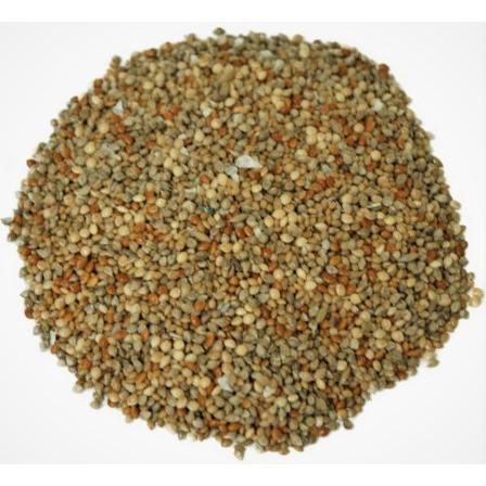 小鳥の餌 オリジナル フィンチの基本食 (皮付き) 1kg とりのえさ キンカチョウ 餌☆