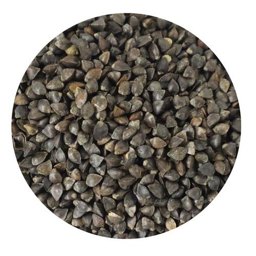 ʥڥåȥӥ㤨̵ 긩 Фμ 200g ݴԻ  ϥॹ Ļα¡פβǤʤ490ߤˤʤޤ