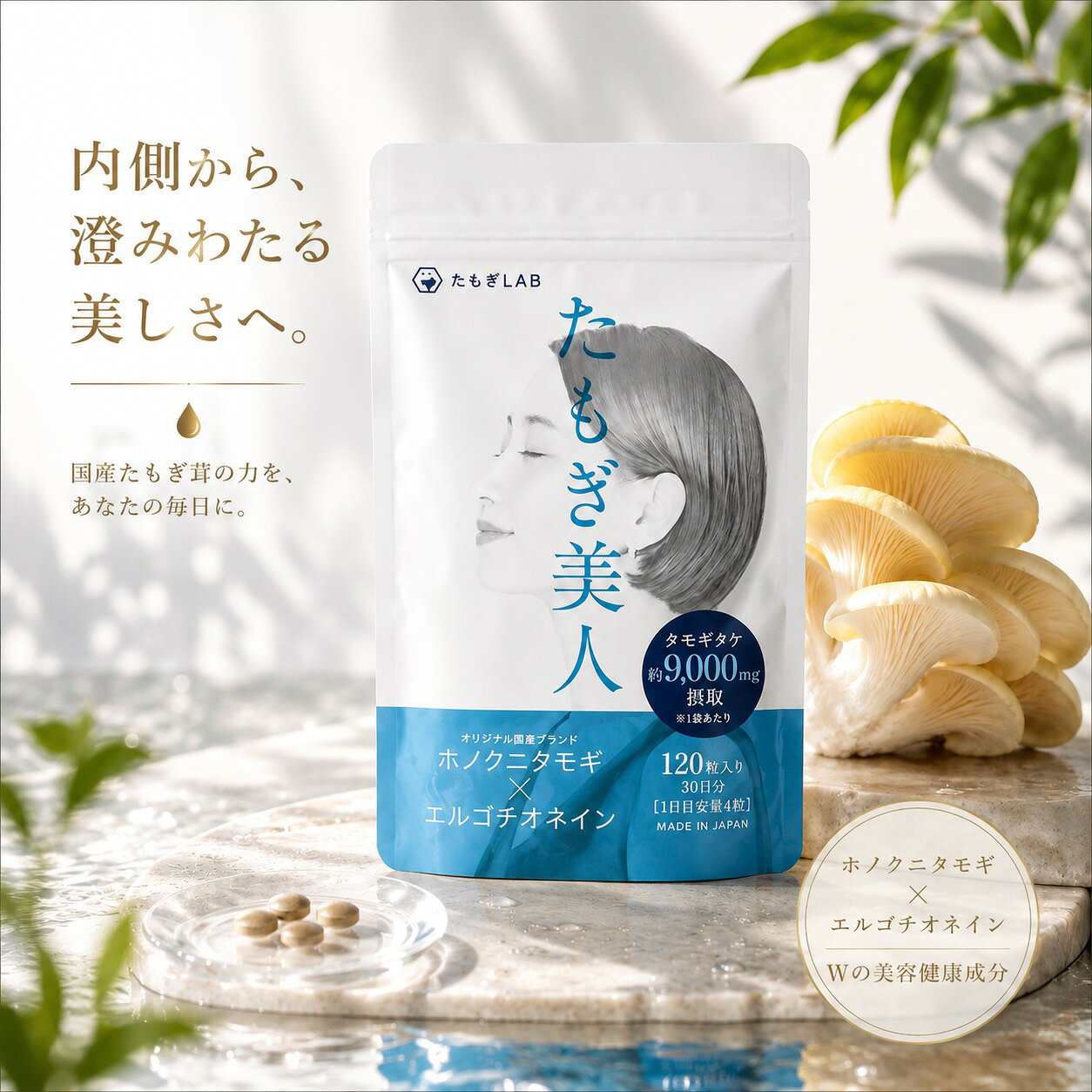 ●1袋で約9,000mgのたもぎ茸を摂取可能：オリジナル国産ブランド「ホノクニタモギ」には、健康や美容に嬉しい成分が豊富。「エルゴチオネイン」は、体内で作り出すことが出来ないため、食事やサプリメントで摂取する必要があります。手軽にサプリメントでエルゴチオネインを摂取出来るよう、美容サプリメント「たもぎ美人」を発売致しました。 ● たもぎ茸の特徴（希少性の高い茸で、幻の茸）：希少な栄養素がとても多く含まれていることです。エルゴチオネイン（エリンギの約36倍）、ナイアシン（ほうれん草の約54倍）、β-グルカン（レタスの約23倍）！ ● サプリの安全性：国内での栽培、粉砕工場、打錠工場（健康補助食品 GMP適合認定工場）で製造 ● 成分：還元麦芽糖水飴（国内製造）、タモギタケ粉末（タモギタケ（国産））、デキストリン、セルロース／ステアリン酸Ca、微粒酸化ケイ素、HPC ●内容量：30g（1日4粒を目安に※30日分）、賞味期限：製造より2年、保存方法：直射日光と高温多湿を避け冷暗所に保存してください。 【摂取上の注意】 ・原材料をご確認のうえ、食物アレルギーのある方はお召し上がりにならないでください。 ・1日の摂取目安量を守ってください。 ・体質や体調に合わないと思われるときは摂取しないでください。 ・乳幼児の手の届かない所に保管してください。 ・食生活は、主食、主菜、副菜を基本に、食事のバランスを。 ・原料由来の斑点や色ムラが見られることがございますが、品質に問題はありません。 ・開封後はチャックをしっかり閉めて保管してください。 付 帯 愛知県産 国内産 たもぎたけ サプリメント 120粒入 エルゴチオネイン タンパク質 βグルカン 無添加 無農薬 無香料 タモギタケ 医学博士 使用 幻のキノコ きのこ 栽培 特許 ありのまま発酵製法 だしの王様 手軽 タブレット 人工防腐剤不使用 日テレ テレビ番組 カズレーザー と学ぶ。タモギタケ 紹介 記憶力 睡眠の質 脳 前頭葉 側頭葉 注意力 MCI Mild Congnitive Impairment 幻のきのこ 貴重 栄養価 脳細胞 神経回路 機能性表示食品 脳疲労 睡眠 寝起き スッキリ 視力 肌 髪 物忘れ 心気 ペット 両親 食欲低下 現代人 体に起こる 衝撃 新事実 カズ と学ぶ 生活習慣改善 最新科学 2023年6月13日 日本テレビ「カズレーザーと学ぶ。」でタモギタケ（エルゴチオネイン）が認知症の予防に期待できると紹介されました。 タモギタケで記憶の達人に サクラムック 白澤 卓二 本 紹介 健康長寿 生活習慣 エルゴチオネイン含有量はタモギタケがダントツ ヒラタケ シイタケ エリンギ ブナシメジ ナメコ マッシュルーム マイタケ 白マイタケ エノキタケ ヤマエノキタケ ハナビラタケ ヤマブシタケ たもぎだけ タモギダケ 茸 きのこ 種菌 記憶の素 父の日 母の日 お中元 お歳暮 土用の丑の日 敬老の日 お正月 お年賀ギフト 手土産 贈答用 ギフト プレゼント 結婚祝い 出産祝い 粗品 御祝 御礼 ご挨拶用