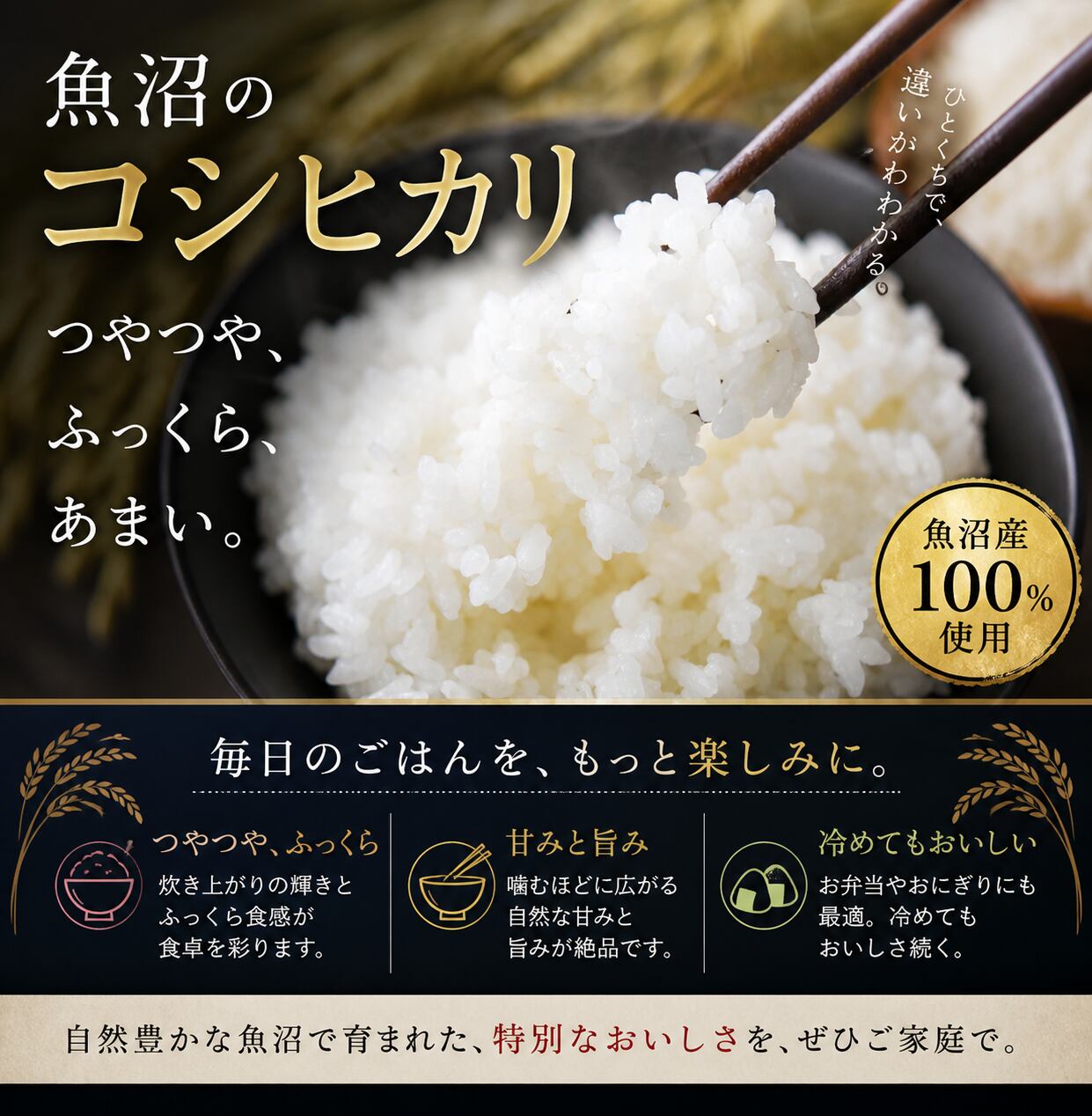 【1000円ポッキリ】令和7年産 新潟 魚沼産 無洗米 コシヒカリ300g 600g 900g 一等...