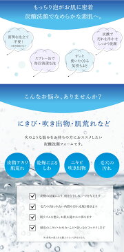 \泡 炭酸洗顔/【フェルミナ クリムヴィータ CLIMVITA face&scalp CO2foam 160g フォーム 炭酸クレンジング】泡立て不要 泡洗顔 オウゴンエキス強炭酸 敏感肌 乾燥 保湿 潤い 頭皮 毛穴 ニキビ 肌荒れ 皮脂テカリ くすみ スプレー缶【送料無料 あす楽】