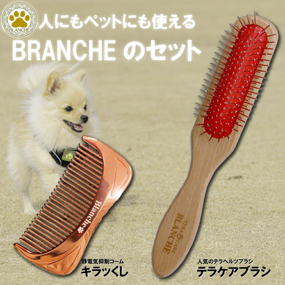 ��3��ä�P5�ܡ��ۡ�������������Ź��BLANCHE �֥�󥷥� �ƥ饱���֥饷 ����ä��� ���åȥϥ��ѡ��ƥ�إ����ž�� ���ŵ����������� �ⵡǽ���� ��...