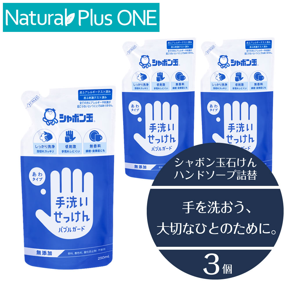 泡 ハンドソープ 手洗いせっけん バブルガード250mL 詰替え パウチ 無添加石けん ノンアルコール 抗菌剤不使用 無香料 無着色料 酸化防止剤不使用 合成界面活性剤不使用 水 カリ石ケン素地 のみ 無添加泡タイプ 家族 小さなお子さま おすすめ シャボン玉石けん