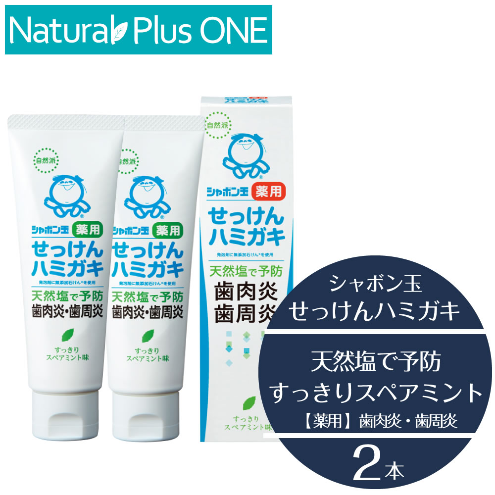 【 2本セット 】無添加 ハミガキ粉 シャボン玉 薬用 せっけんハミガキ 80g ブラッシング 歯の汚れを取る 歯肉 マッサージ 血行促進 引..