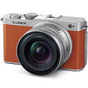 Panasonic LUMIX S9 ミラーレス一眼小型広角ズームレンズキット DC-S9N ルミックス S9 Body + 18-40mm広角標準ズームレンズ...