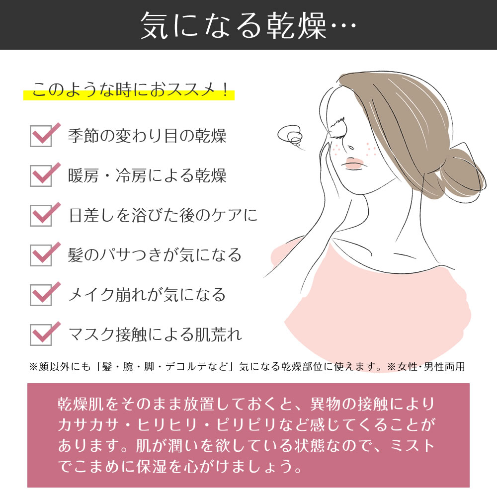 ��3��ä�P5�ܡ���USB���ż��ڥϥ�ǥ��ߥ��ȥ��ץ졼��HANDY NANO MIST ���� �ۥ磻�� �ޥ���� ������� ���� �ե������������ޡ� �������������ѿ� ����ѥ��� ���ˤ� γ�ҥߥ��� ���뤪�� �ݼ� ����ȩ