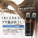 テラヘルツ ヘアケア 化粧水 B.C.FORCE ピュアヘア メン 120mL 約1ヶ月分 スプレー 植物ミネラル アデノシン 配合 ヘアスプレー ミスト スカルプ ダメージ 活性酸素 除去 メンズ 男性用 無添加 無香料 頭皮 潤い 乾燥 フケ 抜け毛 2