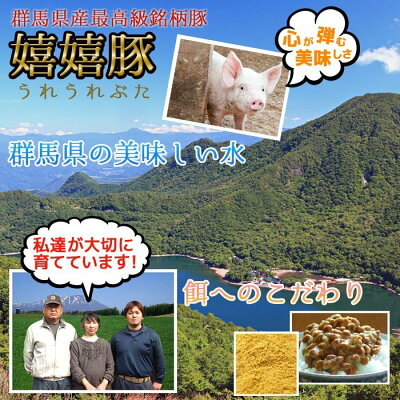 和牛 ギフト 肉 メガ盛り 焼き肉 黒毛和牛 松阪牛 焼肉 焼肉 バーベキュー 松阪牛 A5a4 群馬県産ブランド 特上セット 牛肉 嬉嬉豚 約1000g 和牛 ギフト 肉 メガ盛り 焼き肉 黒毛和牛 松阪牛 焼肉 焼肉 バーベキュー 松阪牛 A5a4 群馬県産ブランド 特上セット 牛肉 嬉嬉豚 約1000g