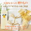 【楽天ランキング1位】【花梨の化粧水】200ml×1本「あかちゃんのほっぺ」石けん×2個スキンケアギフト 大切な方へのギフトとして 美容液栄養クリームのいらないお肌へ【楽ギフ_包装】【花梨化粧水】