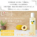 【公式】【クーポン利用で10％Off】【楽天1位 10冠】 乾燥肌・敏感肌の保湿対策に 【花梨の化粧水】200ml（化粧箱なし）ご自宅用2本セット手荒れ 手洗い ハンドケアオールインワン【あす楽】花梨化粧水 2