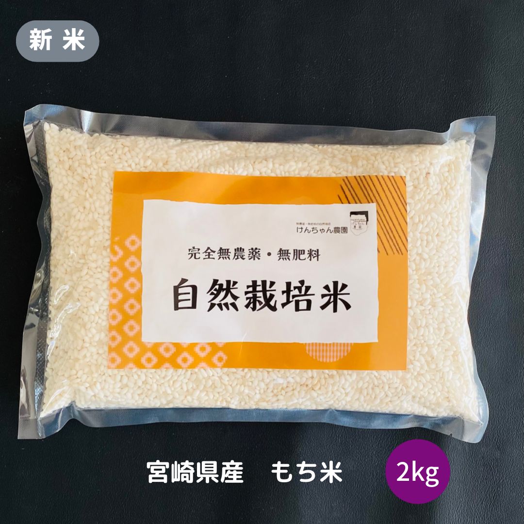 新米 令和5年度産 国産 宮崎県産 【もち米（白米）完全自然栽培米 2kg】お餅 餅 新米 無農薬 無肥料 赤飯 お正月 餅つき もち米 餅米 国産 自然農法 2kg