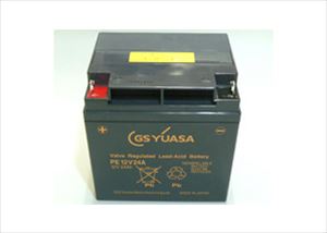 GS YUASA Хåƥ꡼ PE12V24 (PE12V24AB1)ʡ