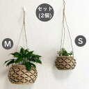【5/13は当店20%OFF+P5倍】 吊るす観葉植物 吊るす2個セット 雑貨 吊り下げ 観葉植物 吊るす 室内 ハンギング バスケット 吊るす収納 植木鉢 プ...