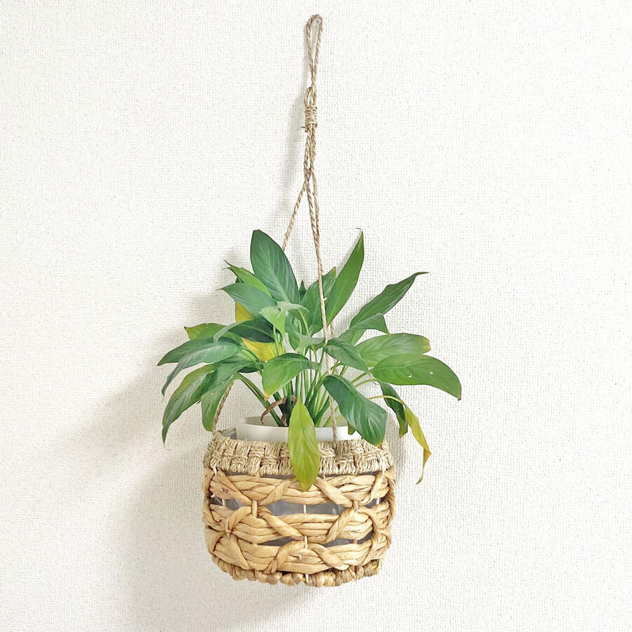 【9/25は当店ポイント10倍！】 観葉植物 吊り下げ ロープ ハンギングプランター ウォーターヒヤシンス シーグラス バスケット 水草バスケット かご 吊るす プランターカバー 鉢カバー ハンギング プラントハンガー 吊りスタンド 植物 ハンガーマクラメのサムネイル