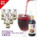 【ひとみの果実®ブルーベリーdeす6本セット】 ブルーベリー はちみつ 果実酢 無添加 フルーツビネガー 希釈 500ml クエン酸 ミネラル ビタミ...