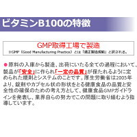 天然系ビタミンB群サプリメント【ビタミンB100】の特徴