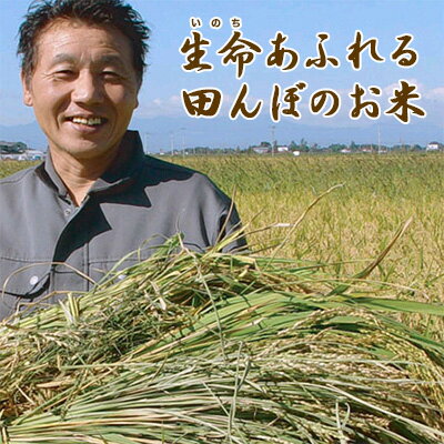 令和5年度産【◆つや姫 100％【生命あふれる田んぼのお米・玄米20kg】(4kg×5袋）産地直送