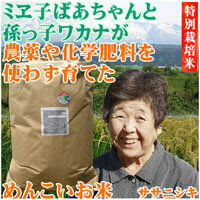 30年度産米【めんこいお米・無農薬玄米30kg】産地直送