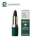 GREENNOTE(グリーンノート) ヘアーカラー スティック 4g【ダークブラウン】白髪かくし／落ち着いた茶色（部分白髪用）天然由来100％【ネコポス便/送料無料】