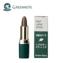 GREENNOTE(グリーンノート) ヘアーカラー スティック 4g白髪かくし/明るい茶色（部分白髪用）天然由来100％