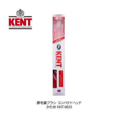 KENT(ケント) 豚毛歯ブラシ コンパクトヘッド  KNT-9833