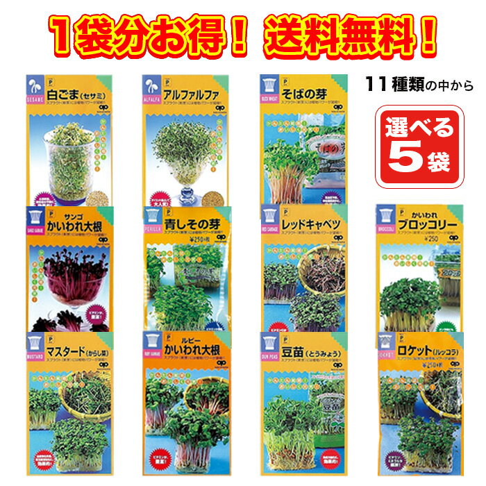 【種】 11種類から選べる 家庭菜園スプラウト種 5袋セット 郵便配送商品 
