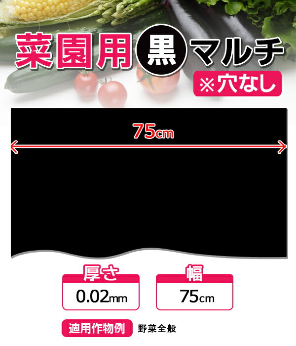 家庭菜園【マルチ】 ミニ黒マルチ 幅75cm 穴なし 1m （郵便配送商品） ※10mまで、送料は250円です！