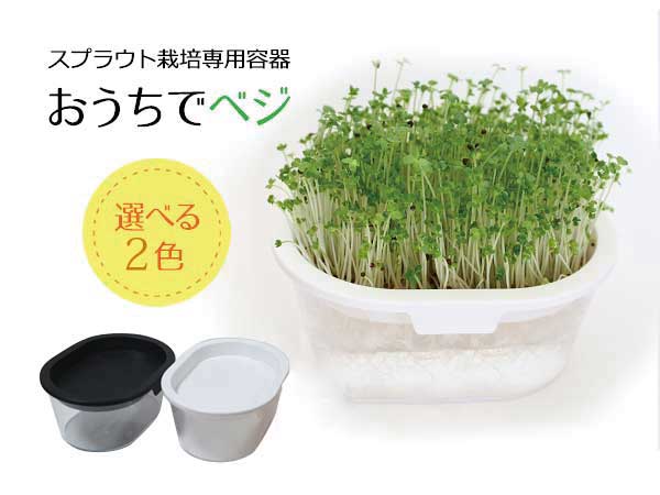 家庭菜園　おうちでベジ −スプラウト栽培専用容器− 2色から選べる （郵便配送商品）※ベージュはメーカーでの製造が終…