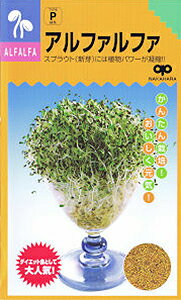 家庭菜園【種】 スプラウト アルファルファ 30ml 1袋 （郵便配送商品）