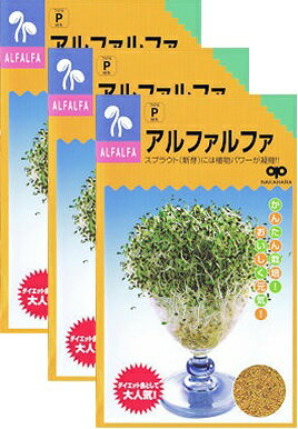 家庭菜園【種】 スプラウト アルファルファ 30ml 3袋セット （郵便配送商品）