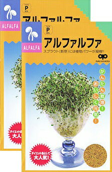 家庭菜園【種】 スプラウト アルファルファ 30ml 2袋セット （郵便配送商品）