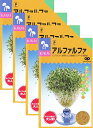 家庭菜園【種】 スプラウト アルファルファ 4袋セット (郵便配送商品)
