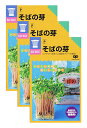 家庭菜園【種】 スプラウト そばの芽 3袋セット (郵便配送商品)