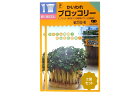 家庭菜園【種】 スプラウト かいわれブロッコリー 2袋セット (郵便配送商品)