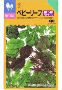 【レビューあり】 訳アリ商品 （有効期限2024年1月）【種】 ベビーリーフ 菜っぱミックス 20ml （郵便配送商品） 「お一人様1アイテム2袋まで」